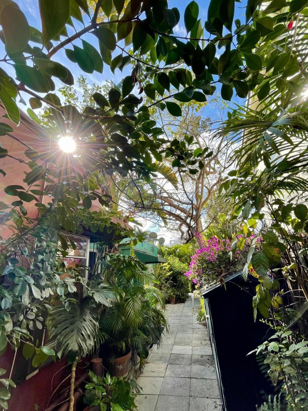 Delight And Cozy Apt Close To Las Olas & The Beach Fort Lauderdale Exterior foto